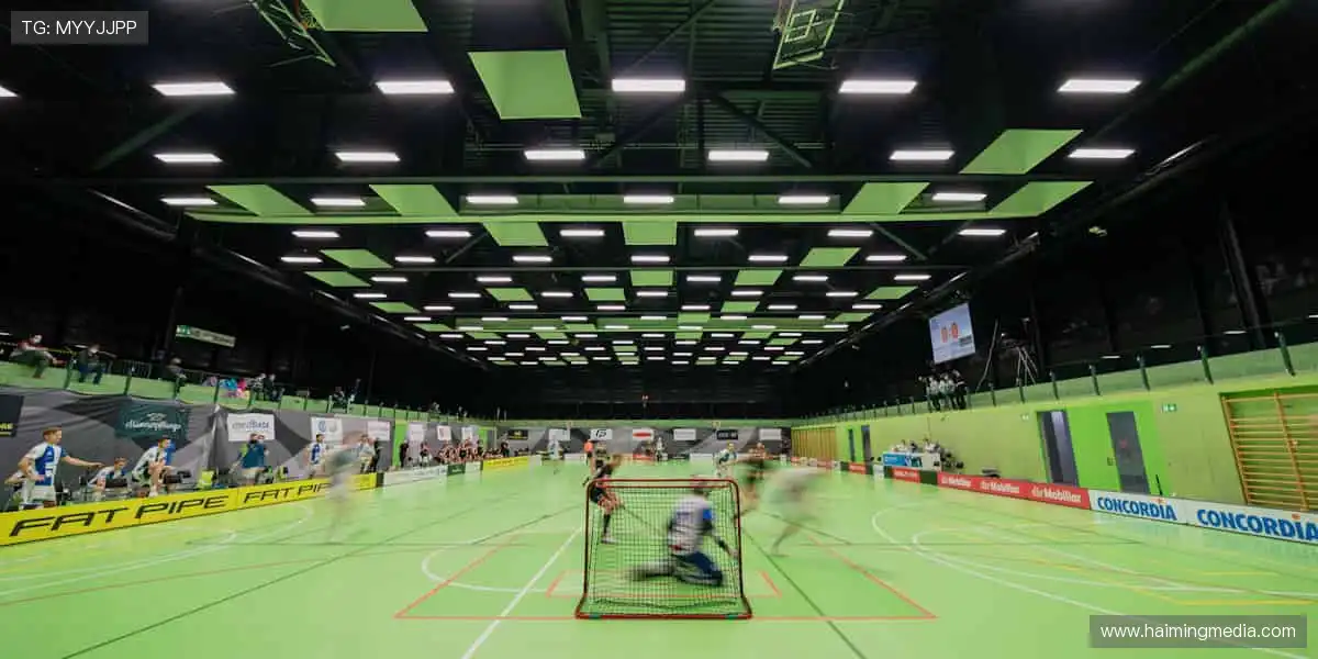 📰 体育新闻,权威速递!🏆 最新战报、深度解读,尽在掌握!